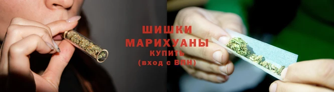 стаф Гусиноозёрск