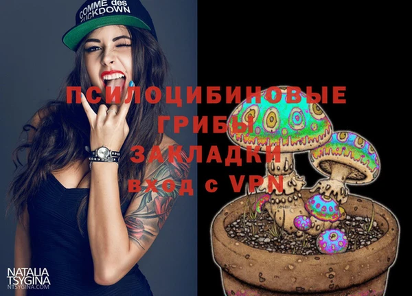 бошки Гусь-Хрустальный